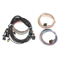 SERVICE HARNESS, STANDALONE PRO DASH - Holley EFI Pro Dash Standalone Service Harness
