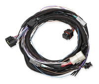 4R70W/4R75W 98+ TRANS HARNESS - Holley EFI Transmission Control Harness - 1998+ Ford 4R70W/4R75W