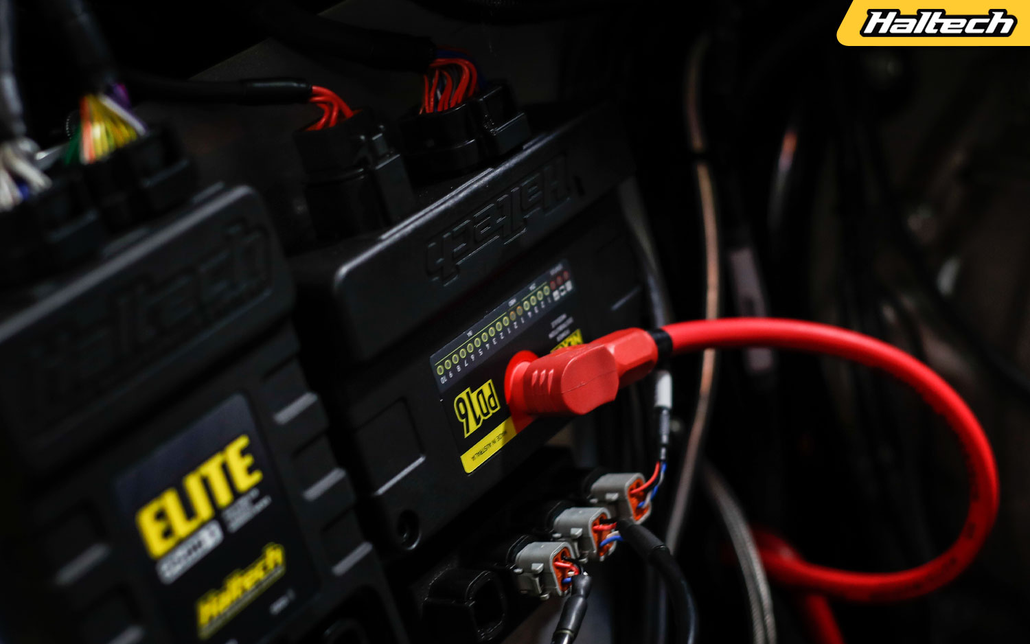 Haltech ECU for Engine Swaps: Complete Builder's Guide
