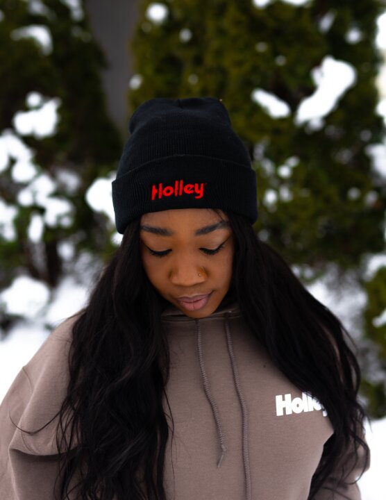 Holley 10431-3XHOL primary image