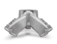 Holley 300-255 primary image