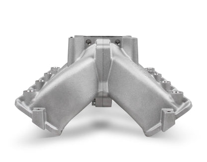 Holley 300-255 primary image