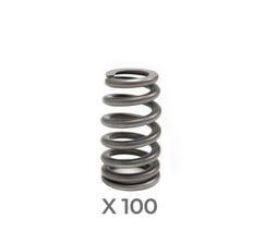Valve Spring Kits