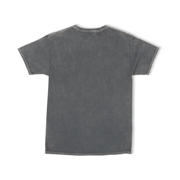 Holley Mineral Washed Distressed Tee - Photo - out of package Right