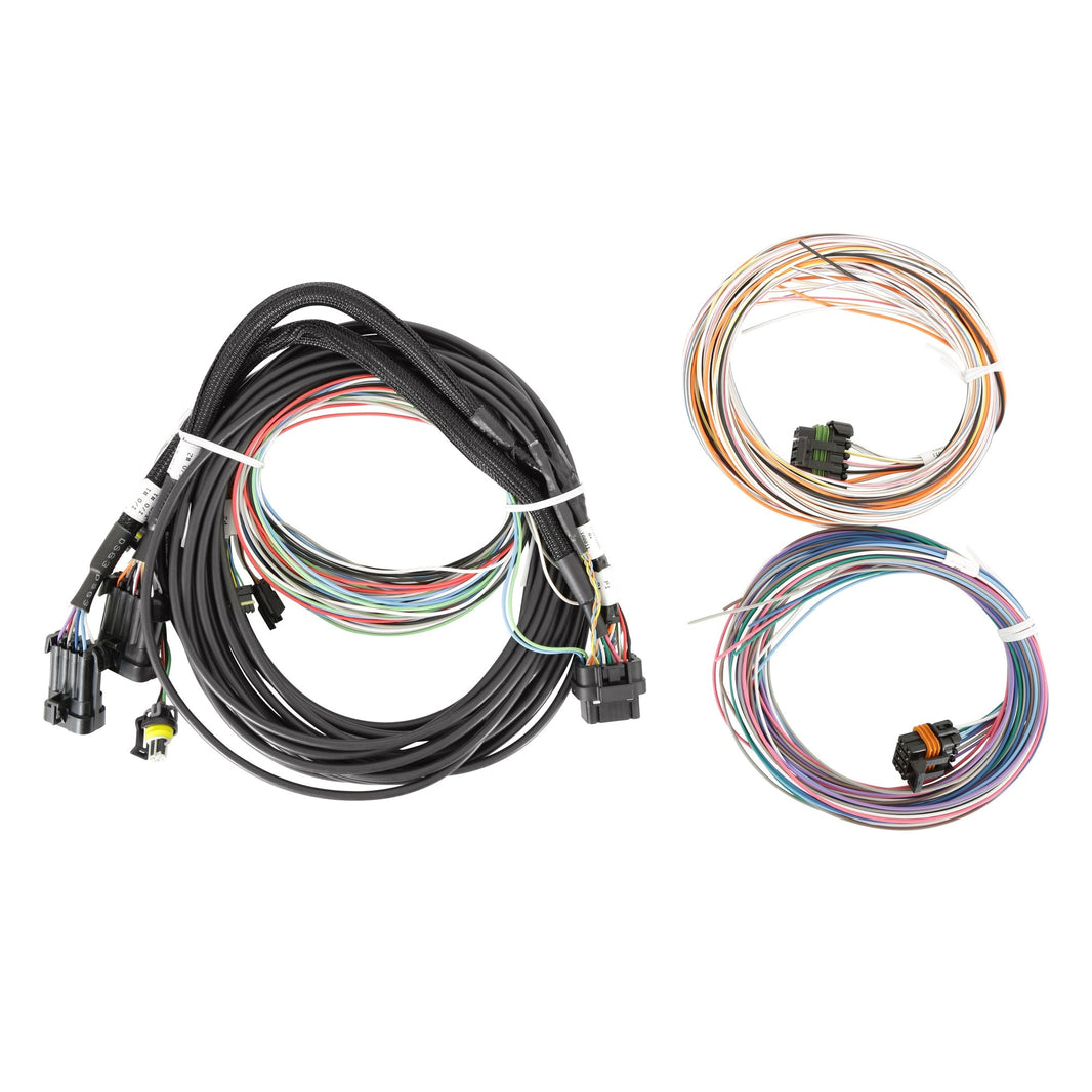 SERVICE HARNESS, STANDALONE PRO DASH - Holley EFI Pro Dash Standalone Service Harness