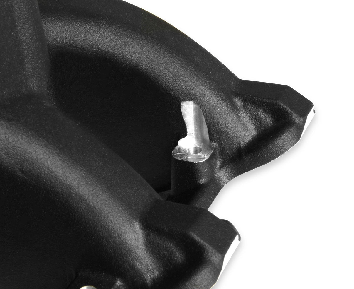 Holley 300-295BK image 3