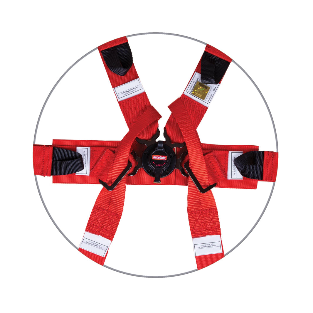 RaceQuip 857017RQP image 2