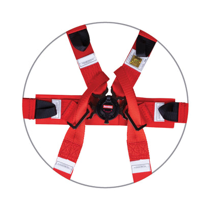 RaceQuip 857017RQP image 2