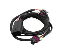 HARNESS, LS, 24X/1X, REAR CAM SENSOR - MSD 6LS Ignition Adapter Harness
