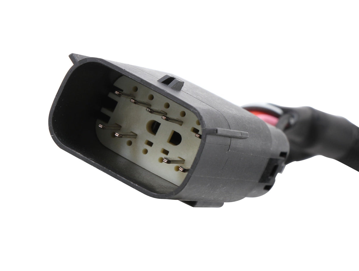 MSD 6LS Ignition Adapter Harness - Photo - out of package Back