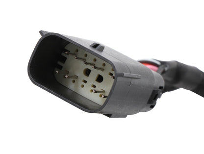 MSD 6LS Ignition Adapter Harness - Photo - out of package Back