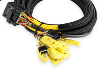 Holley EFI 554-186 primary image