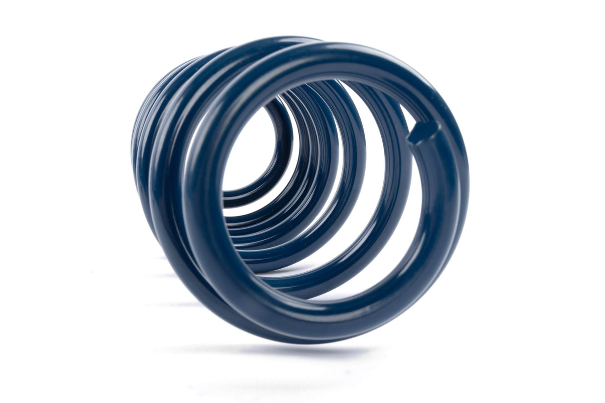 Dinan D100-0937 image 2