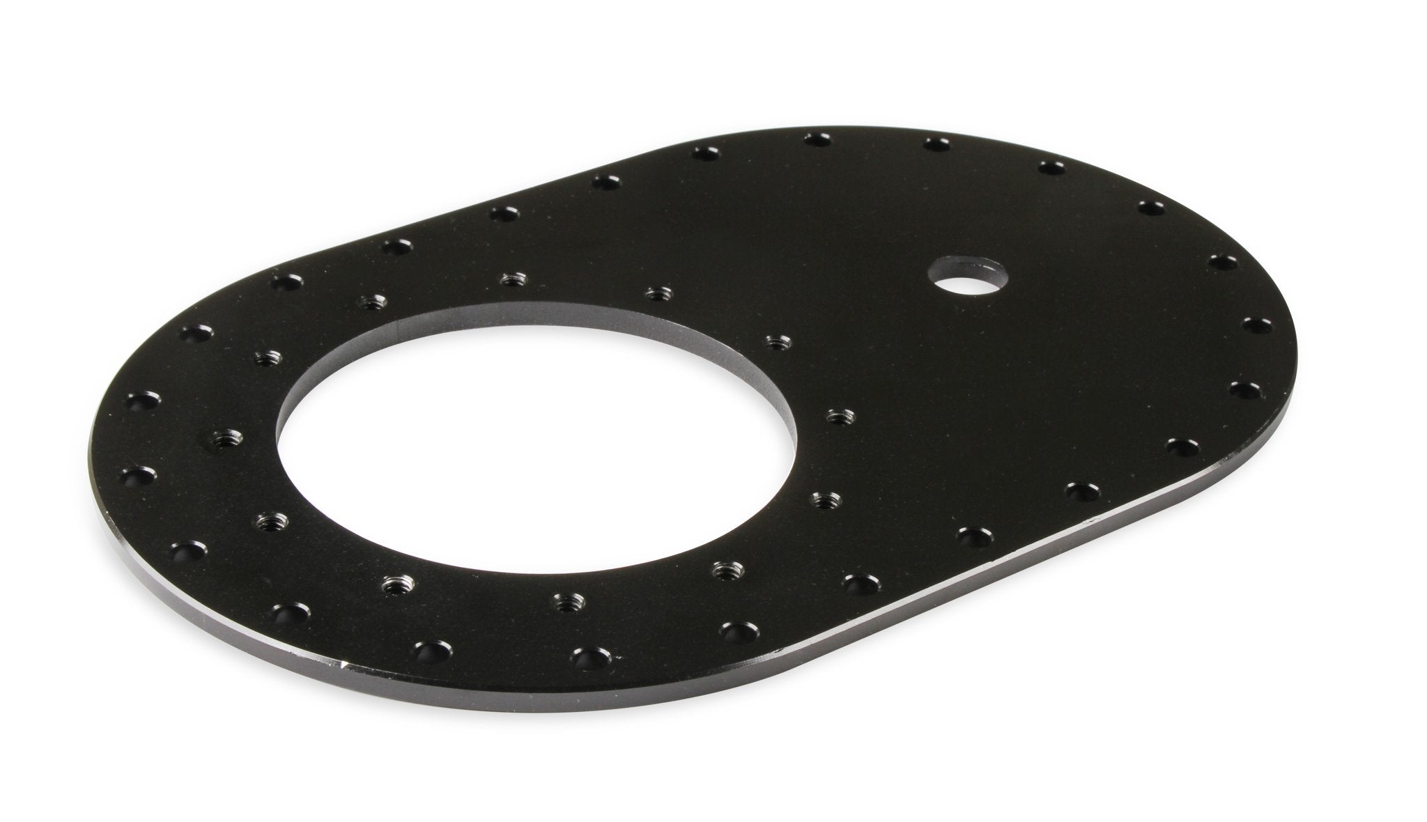 Holley 12-166 image 2