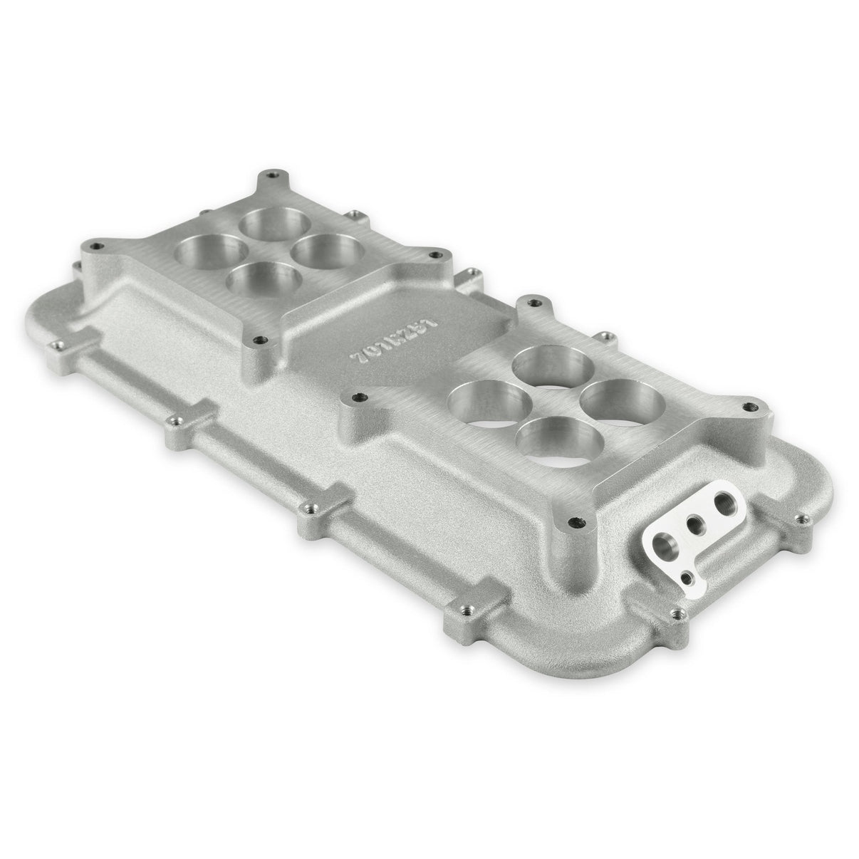 Holley 300-267 primary image