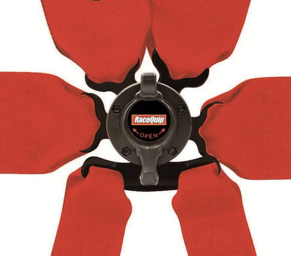 RaceQuip 851001RQP image 3