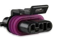 Holley EFI 570-318 primary image