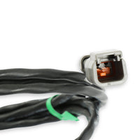 Racepak 280-CA-EFIHOLMX primary image