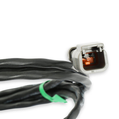 Racepak 280-CA-EFIHOLMX primary image