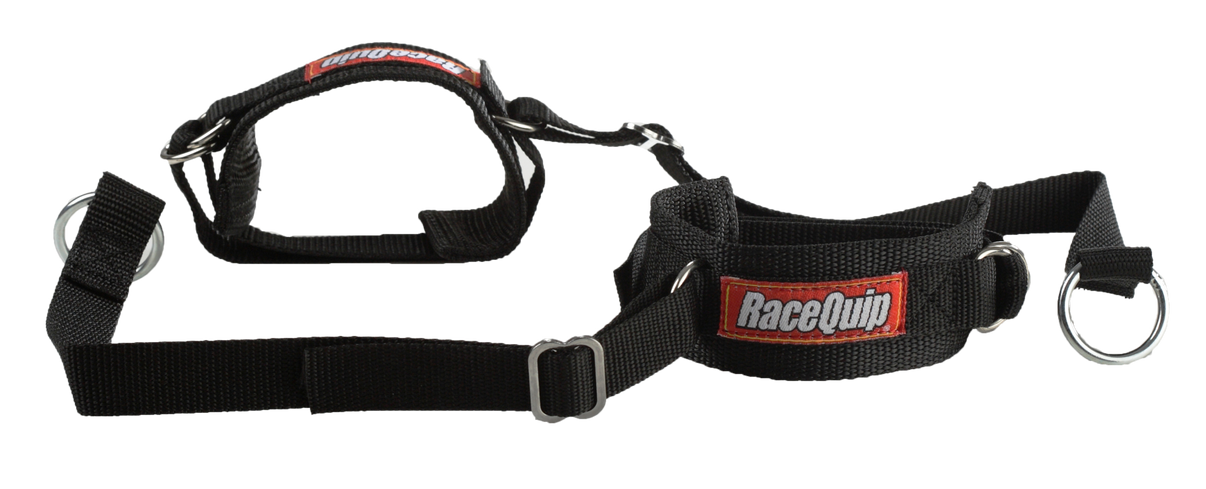 RaceQuip 391002RQP primary image