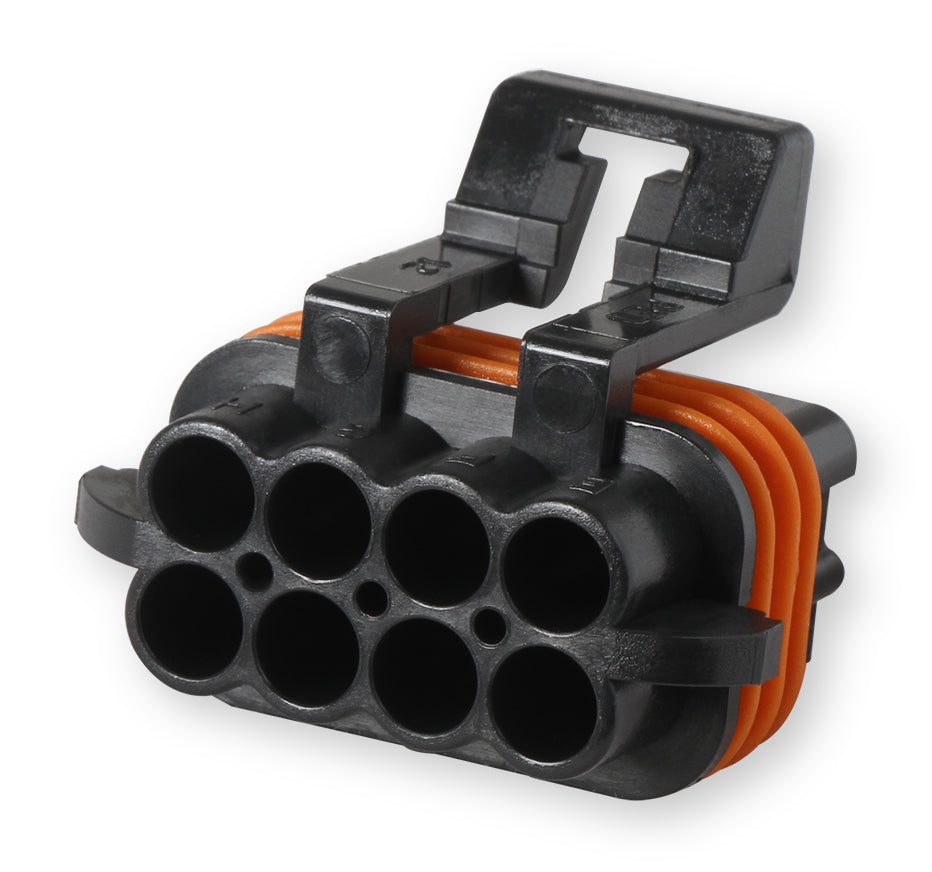 Holley EFI 570-209 primary image