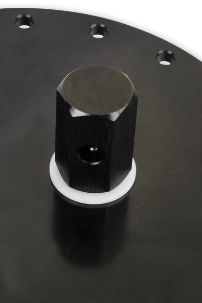 Holley 12-166 image 3