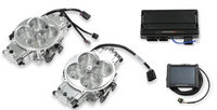 TERMX STEALTH 4500, 2X4 , SHINY - Holley EFI Terminator X Stealth 2x4 4500 Kit - Shiny