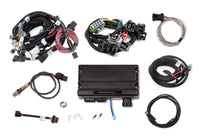 TERM X MPFI,FORD MOD 2&4V,SMARTCOILS,EV1 - Holley EFI Terminator X  - Ford Mod Motor 2V/4V Kit