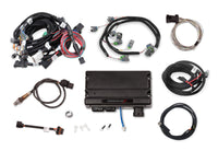 TERM X MPFI,FORD MOD 2&4V,SMARTCOILS,EV6 - Holley EFI Terminator X  - Ford Mod Motor 2V/4V Kit