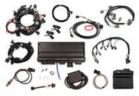 TERM X MAX,15.5-17 COYOTE TI-VCT,DBW EV6 - Holley EFI Terminator X Max - 2015.5-2017 Ford Coyote w/ Ti-VCT