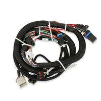 HP ECU AND HARNESS FOR TPI & STEALTH RAM - HP EFI ECU & Harness Kits