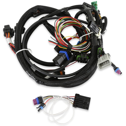 ECU et faisceau HP pour TPI et Stealth RAM - Kits ECU et faisceau HP EFI