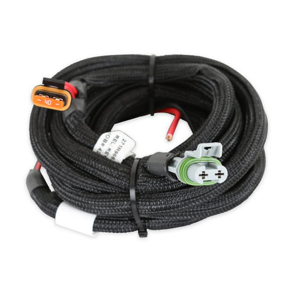 ECU et faisceau HP, LS1/6, NTK - Kits ECU et faisceau HP EFI