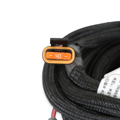 ECU et faisceau HP, LS1/6, NTK - Kits ECU et faisceau HP EFI