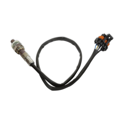 ECU et faisceau HP, LS1/6, NTK - Kits ECU et faisceau HP EFI