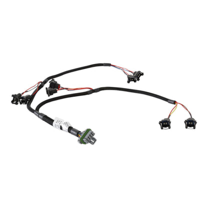 ECU et faisceau HP, LS1/6, NTK - Kits ECU et faisceau HP EFI
