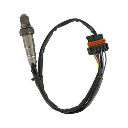 Kits calculateur et faisceau HP EFI pour moteurs LS1 et LS6