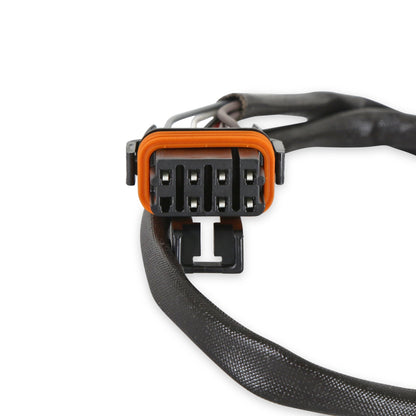 Kits calculateur et faisceau HP EFI pour moteurs LS1 et LS6