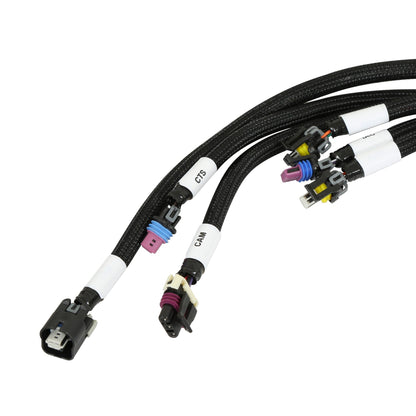 ECU et faisceau HP, LS2/3/7, NTK - Kits ECU et faisceau HP EFI