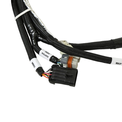 ECU et faisceau HP, LS2/3/7, NTK - Kits ECU et faisceau HP EFI