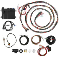 HP ECU AND UNTER, HARNESS, NTK - HP EFI ECU & Harness Kits