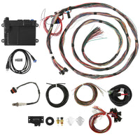 HP ECU AND UNTERMINATED HARNESS KIT - HP EFI ECU & Harness Kits