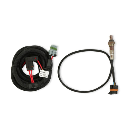 2V FORD MODULÆR EFI-SÆT, NTK O2, JETRONI - HP EFI ECU og ledningsnetsæt