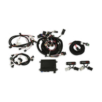 4V FORD MODULAR EFI KIT, NTK O2, JETRONI - HP EFI ECU & Harness Kits