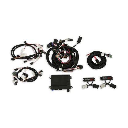 Kit EFI modulaire 4V FORD, NTK O2, JETRONI - Kits calculateur et faisceau EFI haute performance