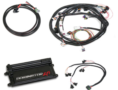 Kit d'injection électronique Dominator pour Ford - Faisceau principal Ford avec faisceau d'injecteurs EV1