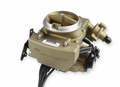 SNIPER 2GC LARGE, GOLD, MASTER KIT - Holley Sniper EFI 2GC Large Bore Master Kit - Classic Gold