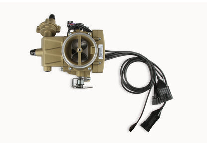 SNIPER 2GC LARGE BORE, GOLD - Holley Sniper EFI 2GC Large Bore - Classic Gold