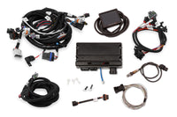TERMINATOR X MPFI, LS1 W/ EV6 - Holley EFI Terminator X - GM LS1/LS6