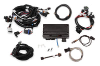 TERMINATOR X MPFI, LS1 - Holley EFI Terminator X - GM LS1/LS6